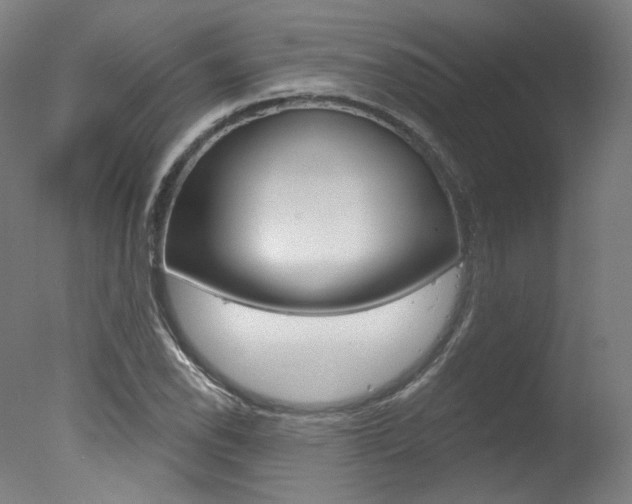 X0000078031118200610271035