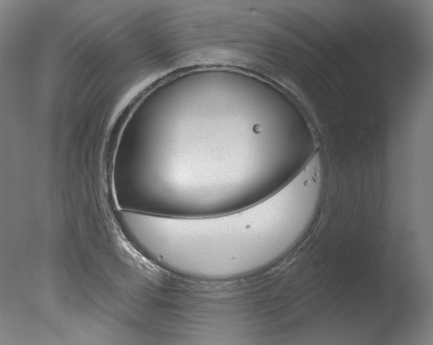 X0000078031120200610271035