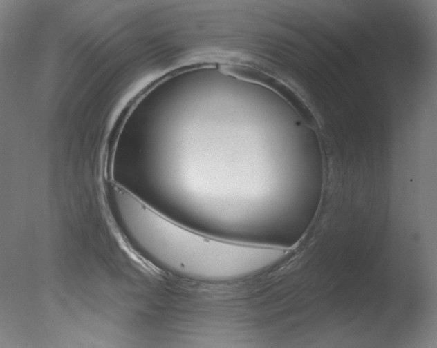 X0000078031128200610271035
