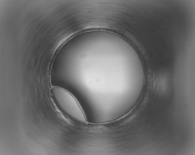 X0000078031129200610271035