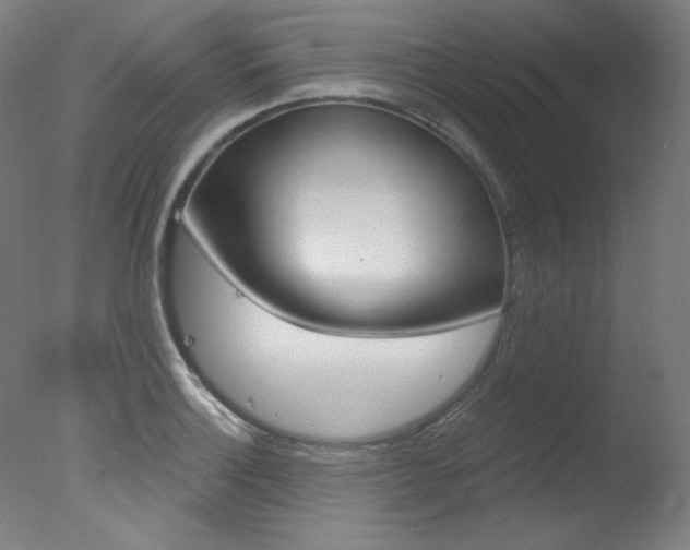 X0000078031132200610271035