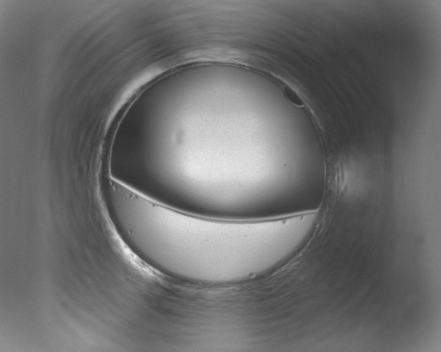 X0000078031139200610271035