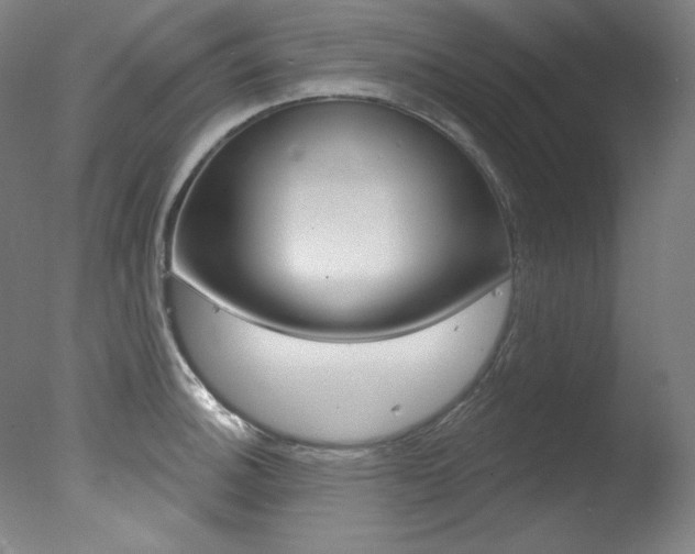X0000078031140200610271035