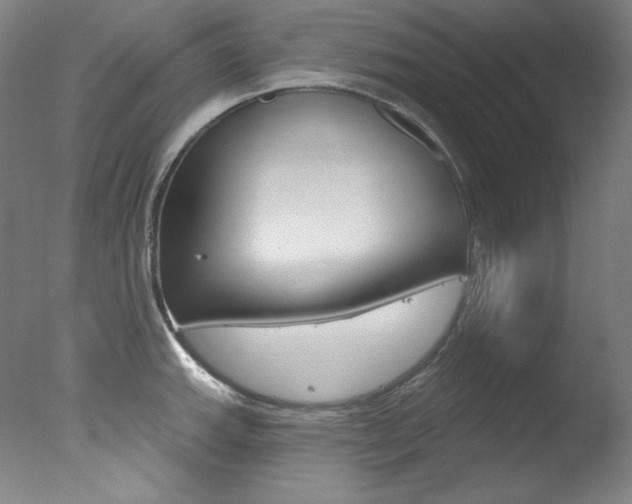 X0000078031143200610271035