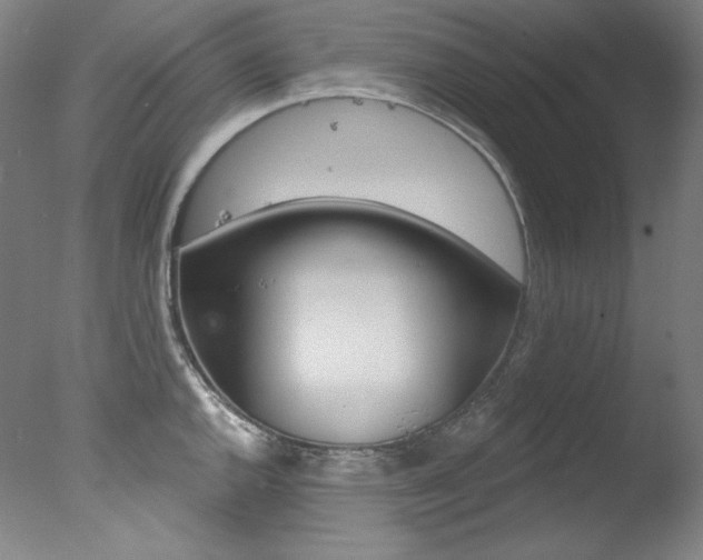 X0000078031144200610271035