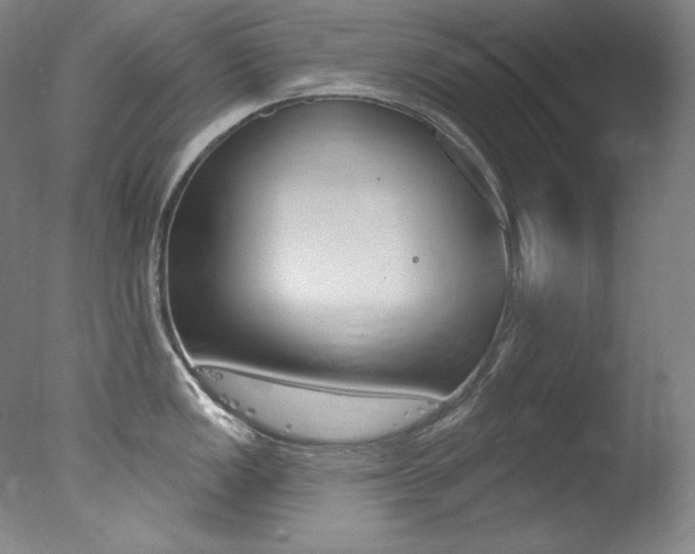 X0000078031149200610271035