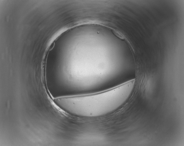 X0000078031151200610271035