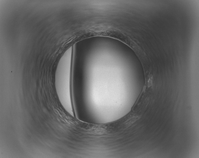 X0000078031156200610271035