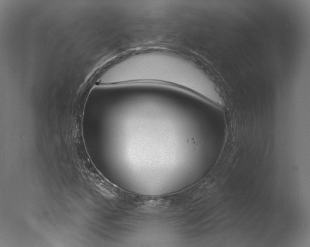 X0000078031160200610271034
