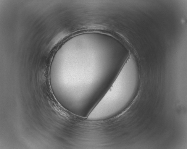 X0000078031163200610271034