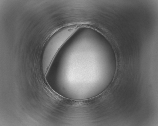 X0000078031169200610271034