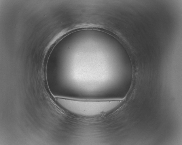 X0000078031173200610271034