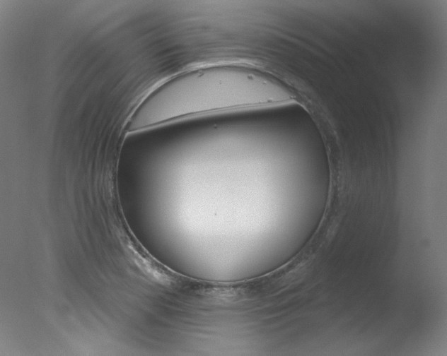 X0000078031177200610271034