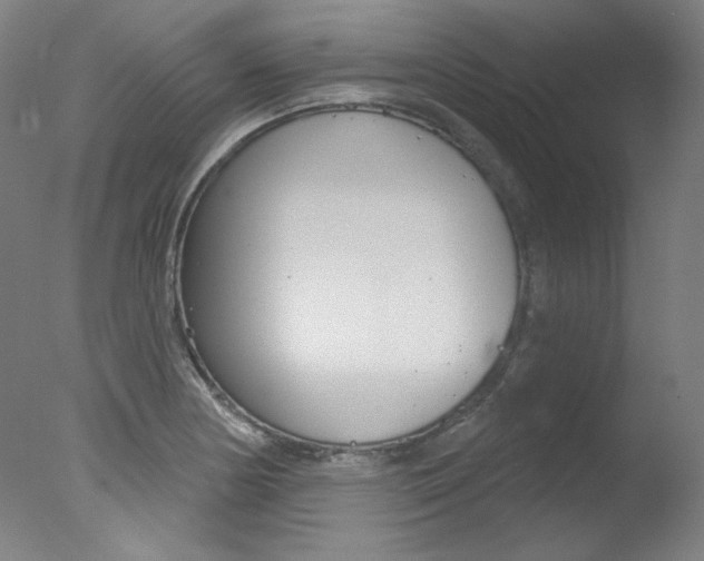 X0000078031178200610271034