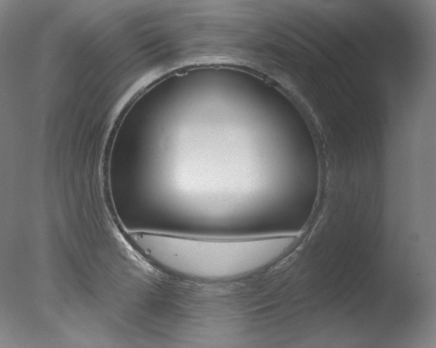 X0000078031181200610271034