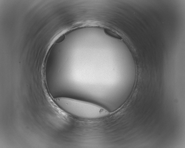 X0000078031190200610271034