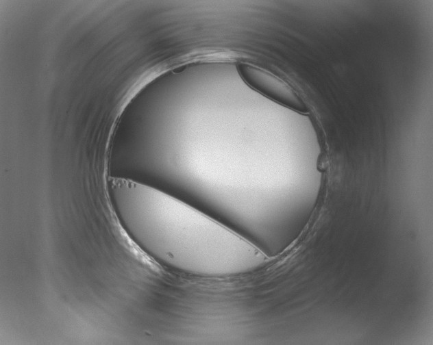 X0000078031194200610271034