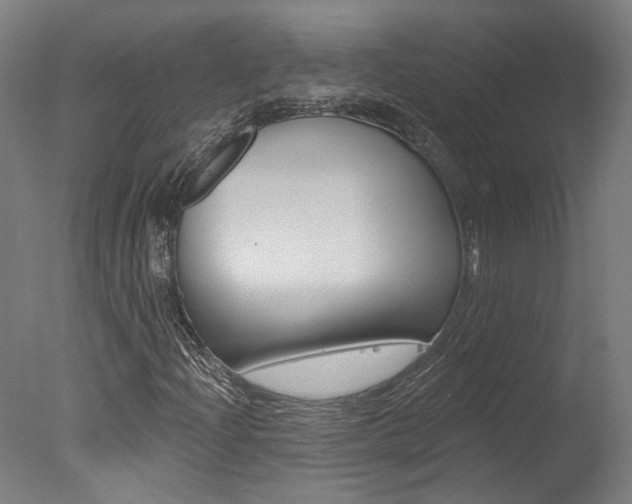 X0000078031204200610271033