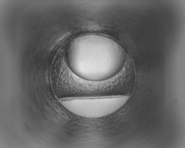 X0000078031205200610271033