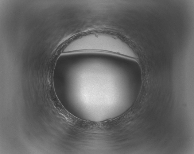 X0000078031206200610271033