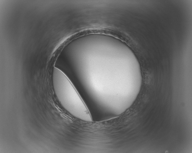 X0000078031208200610271033