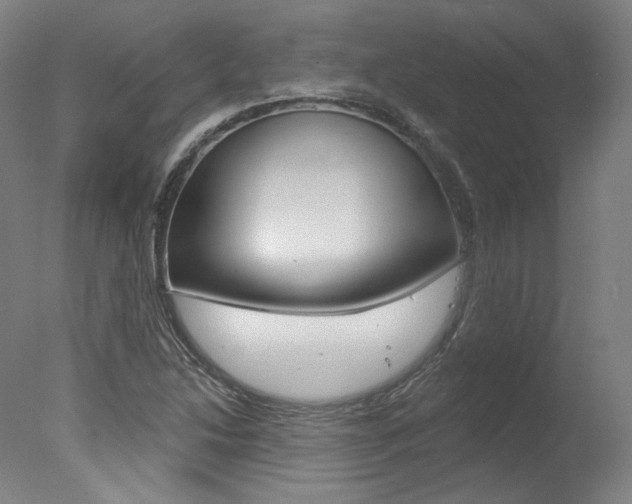 X0000078031214200610271033