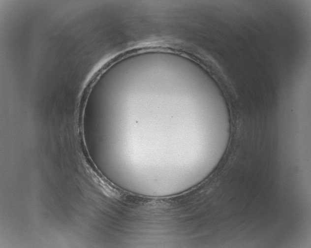 X0000078031216200610271033