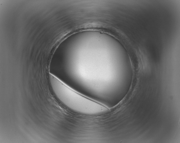 X0000078031217200610271033