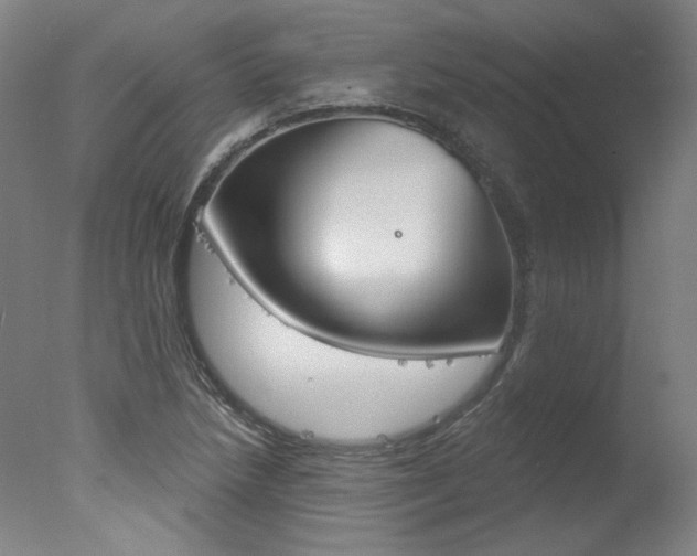 X0000078031218200610271033