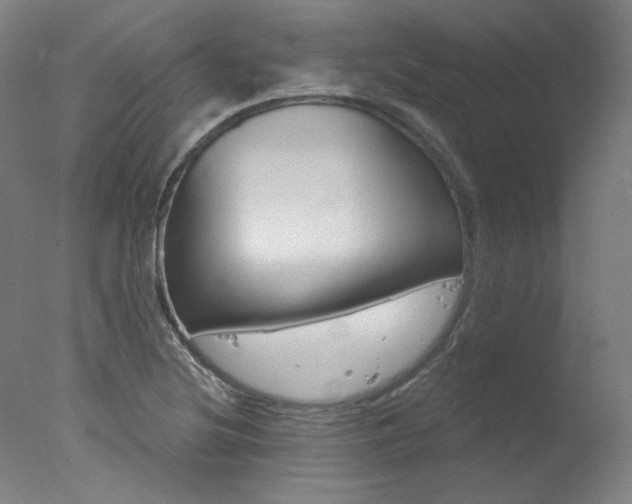 X0000078031220200610271033