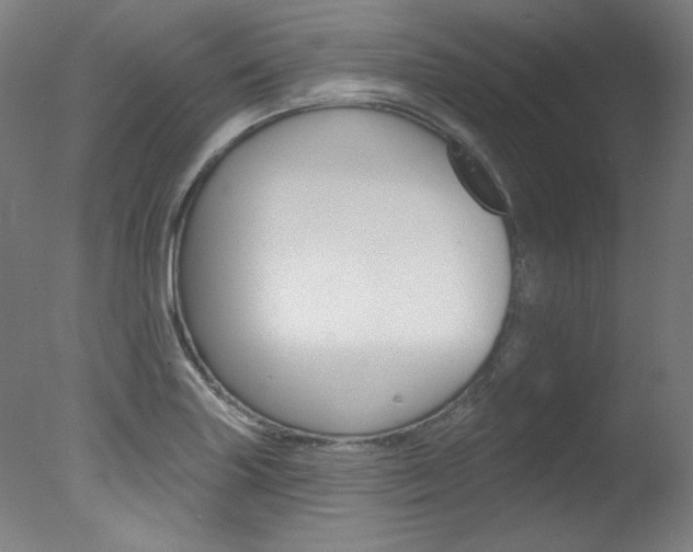 X0000078031227200610271033