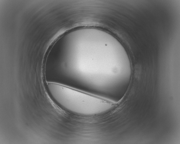 X0000078031229200610271033