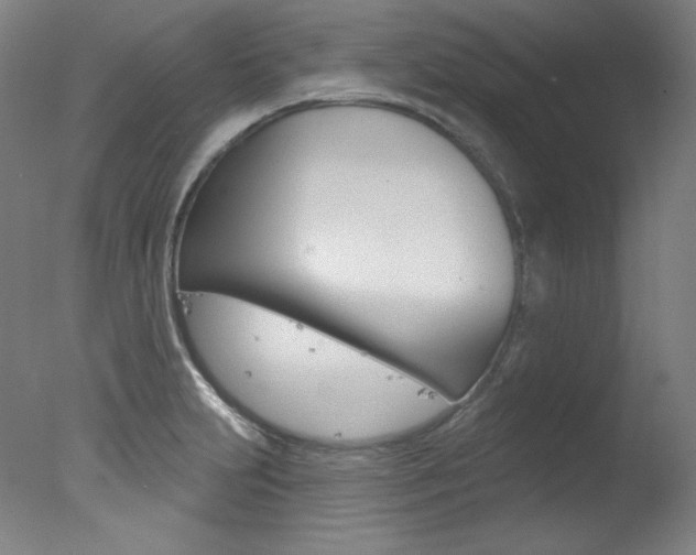 X0000078031231200610271034