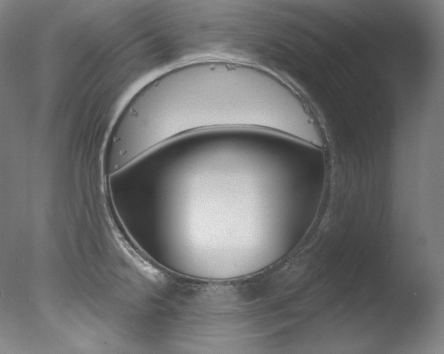 X0000078031238200610271034