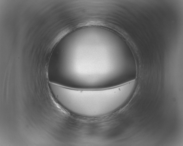 X0000078031241200610271034