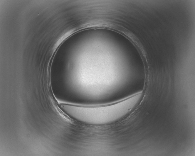 X0000078031242200610271034