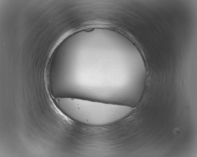 X0000078031243200610271034
