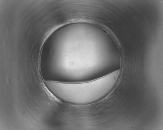 X0000078031244200610271034