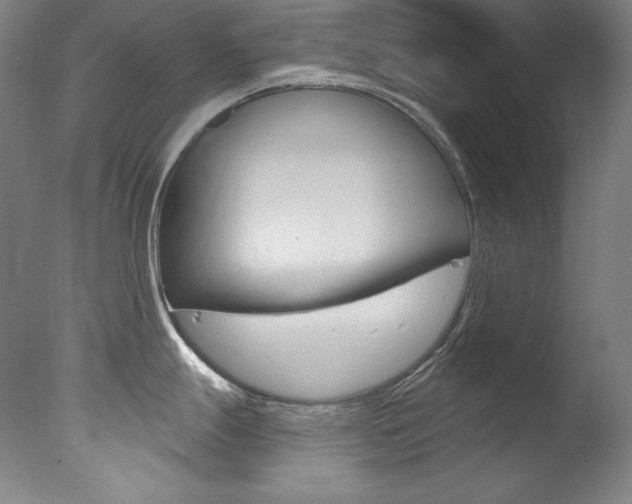 X0000078031247200610271034