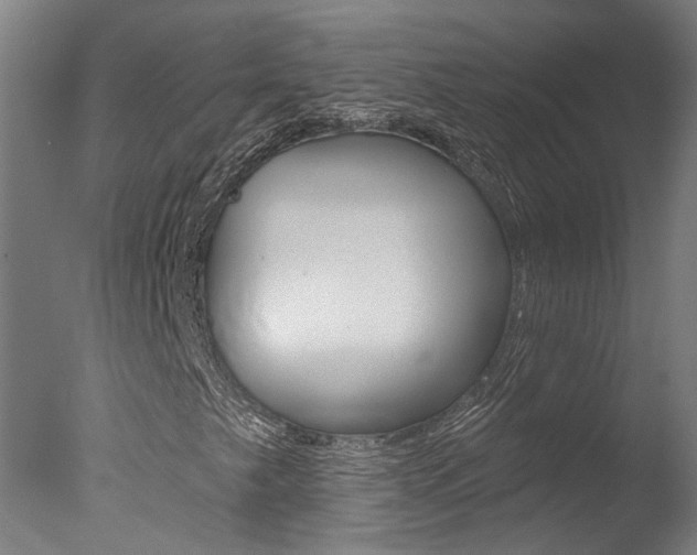 X0000078031249200610271033