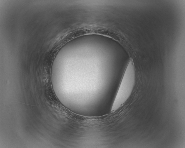 X0000078031253200610271033