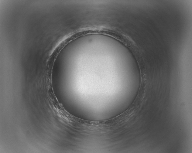 X0000078031256200610271033