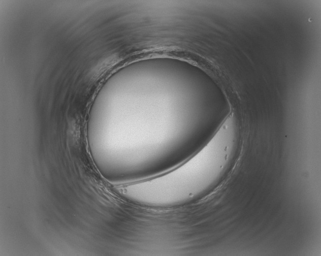 X0000078031257200610271033