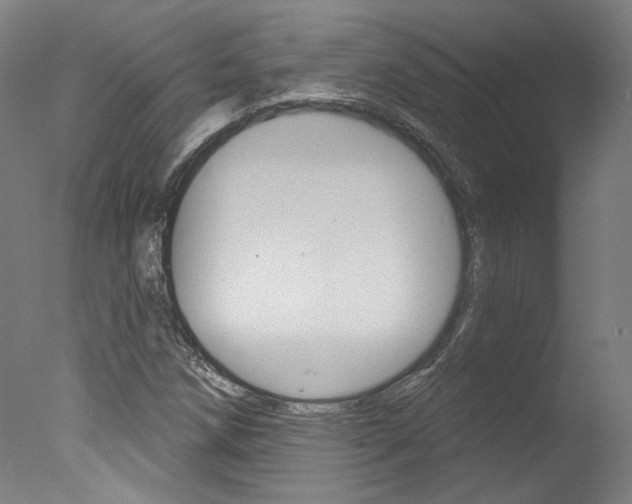 X0000078031258200610271033