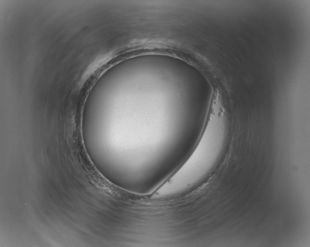 X0000078031261200610271033