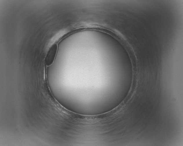 X0000078031269200610271033