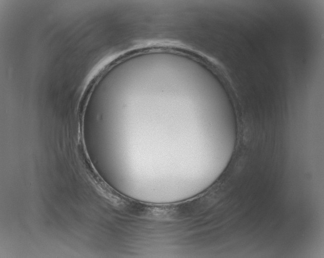 X0000078031271200610271033