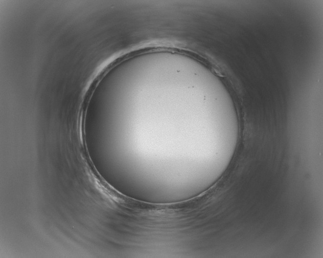 X0000078031272200610271033