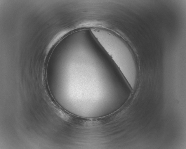 X0000078031277200610271033