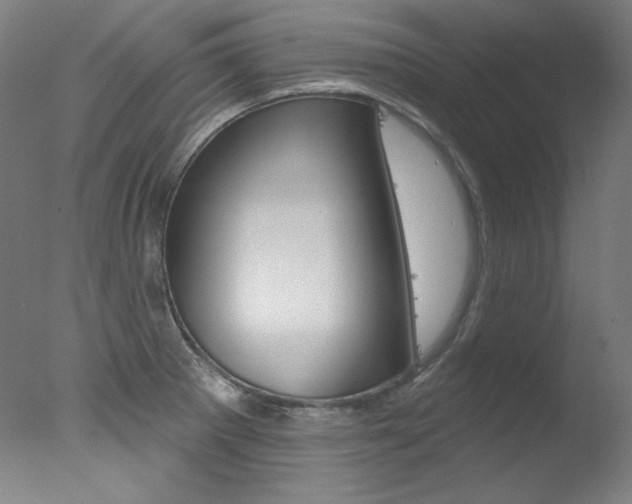 X0000078031281200610271032